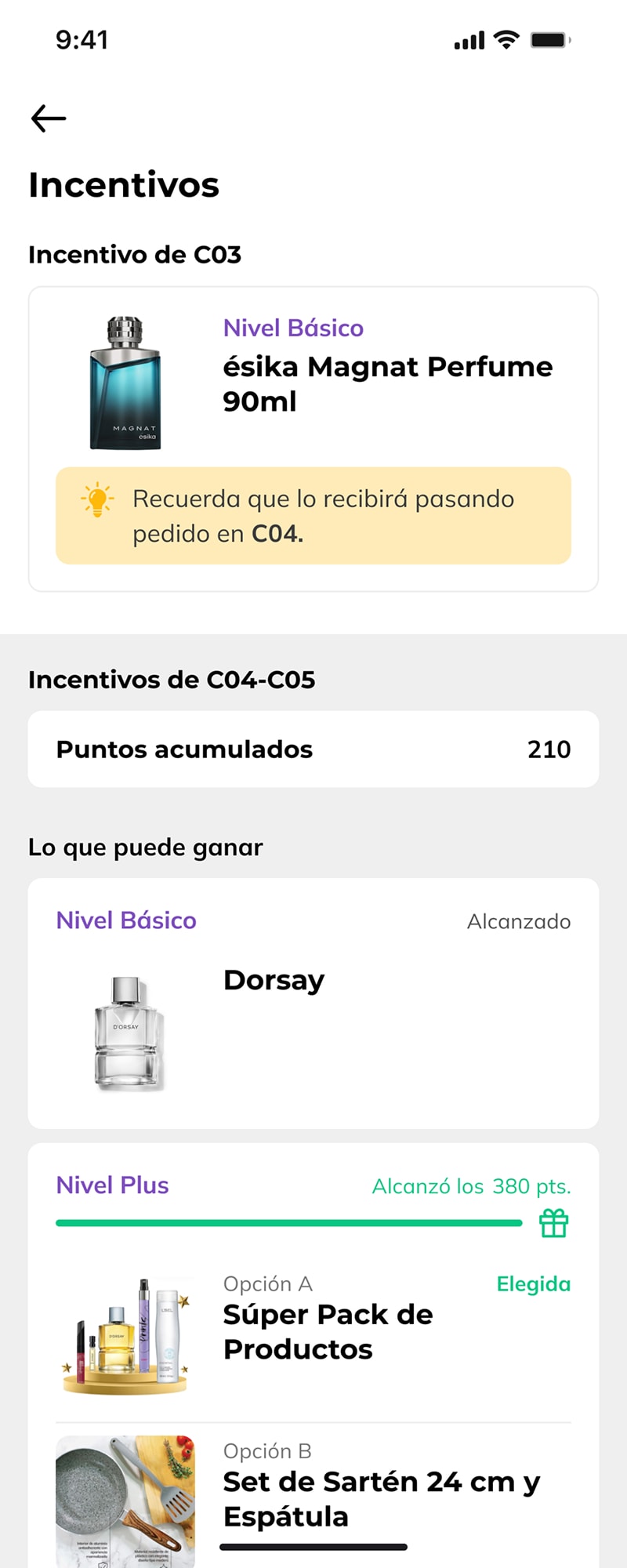 Perfil de consultora - Vista terciaria
